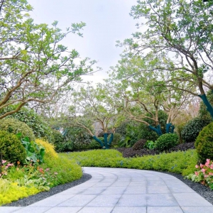 別墅庭院設(shè)計(jì)的后期如何養(yǎng)護(hù)十年寒窗无人问？